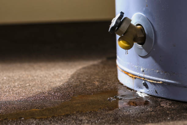 Best Water damage restoration near me  in Royalton, IL