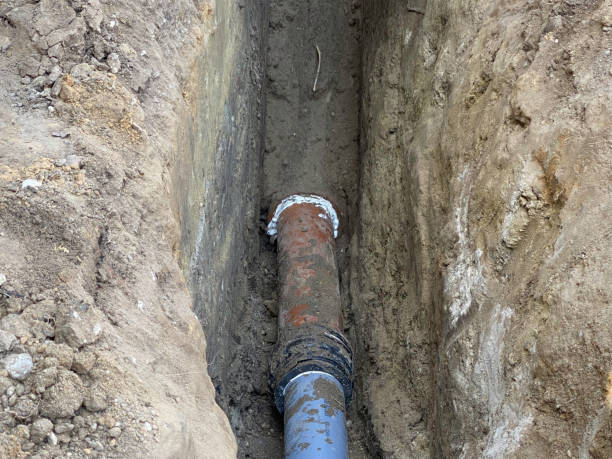 Best Flood damage cleanup  in Royalton, IL