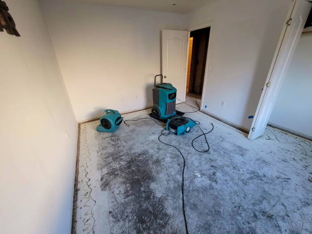 Best Emergency water damage restoration  in Royalton, IL