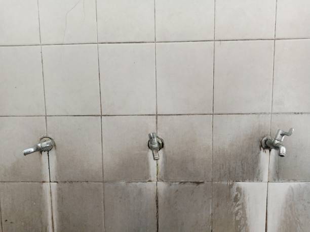 Best Water damage restoration near me  in Royalton, IL