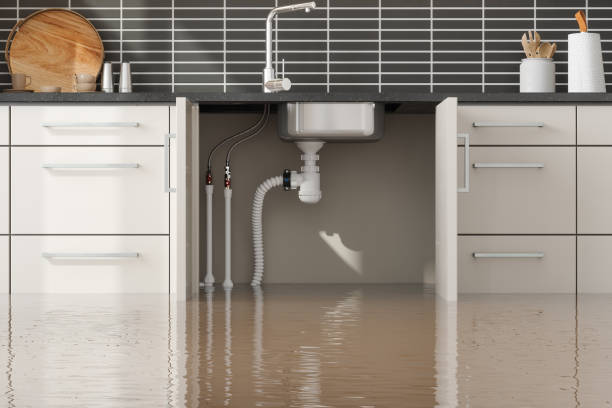 Best Water damage restoration near me  in Royalton, IL