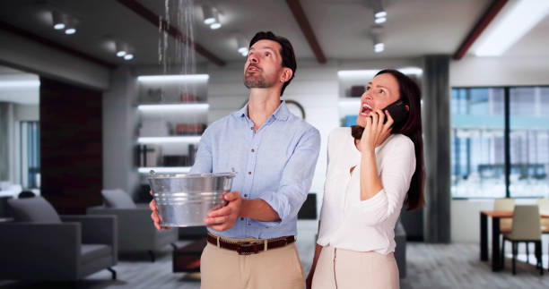 Best Mold removal after water damage  in Royalton, IL